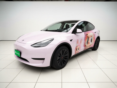 Tesla Model Y 2022 Tesla Model Y 2022 car image
