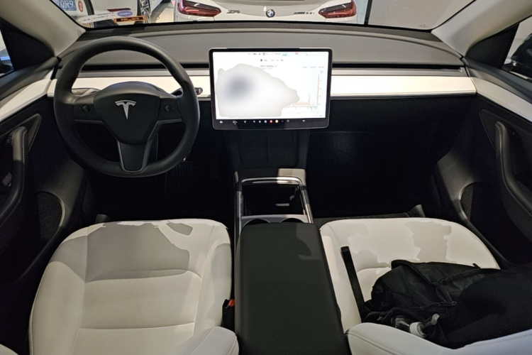 Tesla Model Y 2022 #10 Tesla Model Y 2022 car image #10