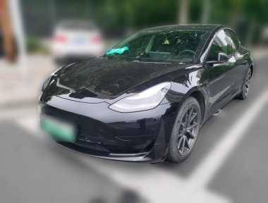 Tesla Model 3 2020 car image 