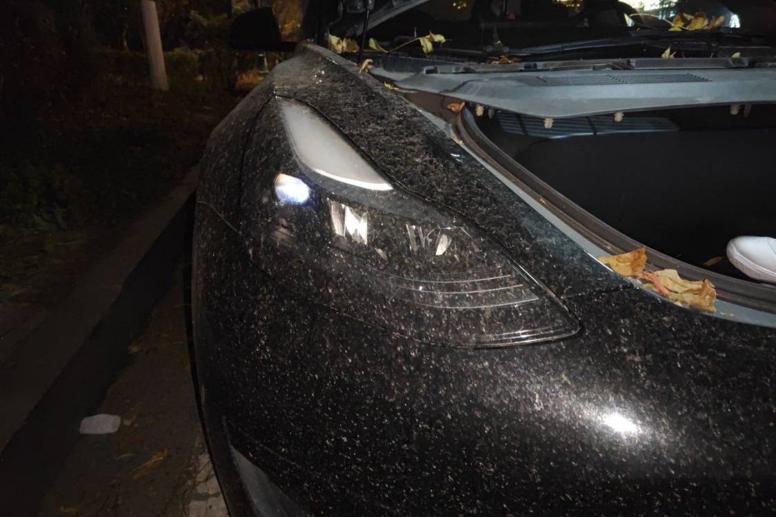 Tesla Model 3 2023 #7 Tesla Model 3 2023 car image #7