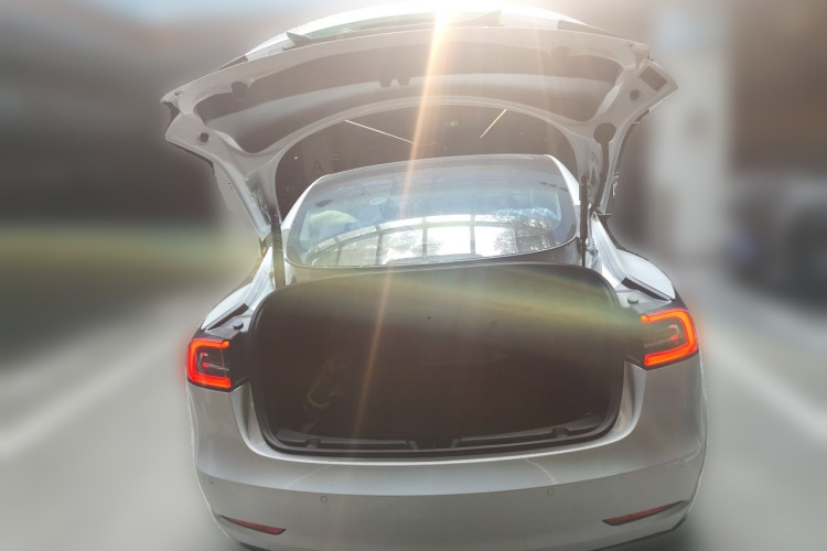 Tesla Model 3 2021 #21 Tesla Model 3 2021 car image #21