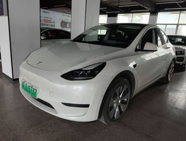 Tesla Model Y 2022 Tesla Model Y 2022 car image