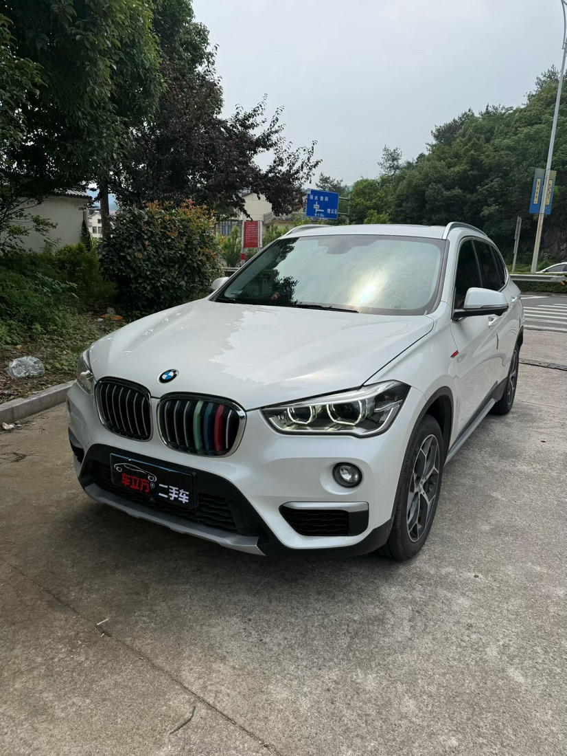 BMW X1 2019 car image 