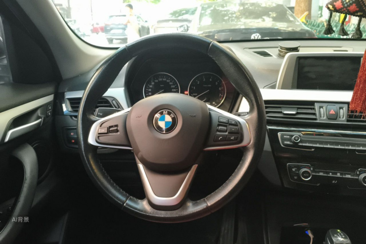 BMW X1 2017 car image #12