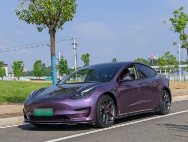 Tesla Model 3 2021 Tesla Model 3 2021 car image