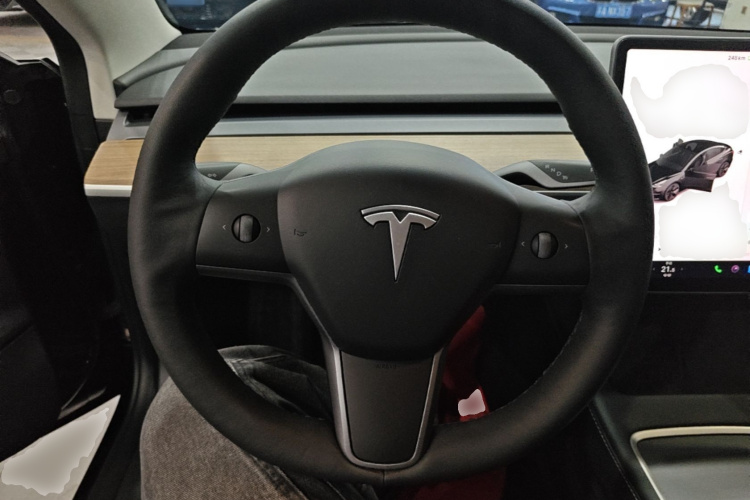 Tesla Model 3 2021 car image #11