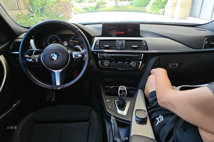 BMW 3 Series 2018 car image #11