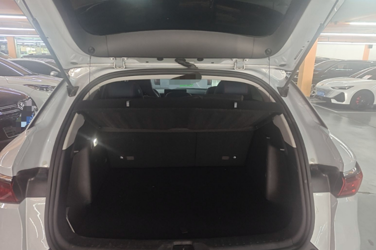 BYD Yuan Plus 2022 car image #28