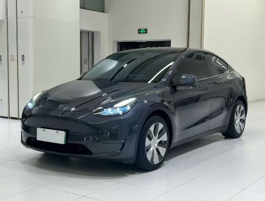 Tesla Model Y 2021 Tesla Model Y 2021 car image