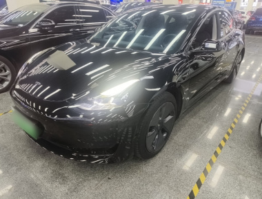 Tesla Model 3 2021 Tesla Model 3 2021 car image