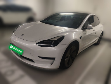 Tesla Model 3 2021 immagine di auto 