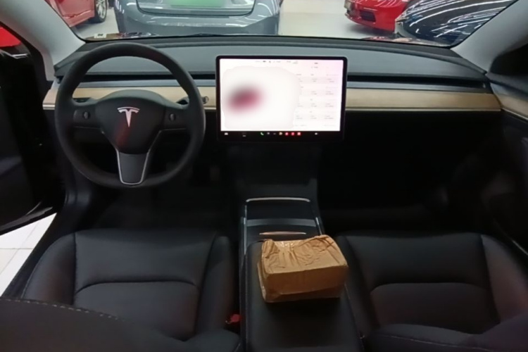 Tesla Model 3 2021 #10 Tesla Model 3 2021 car image #10