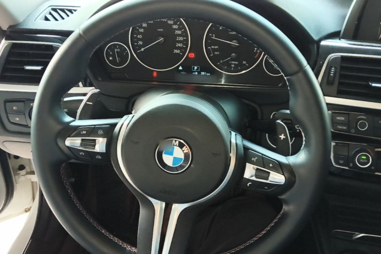 BMW 3 Series 2016 car image #11