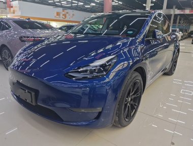 Tesla Model Y 2021 Tesla Model Y 2021 car image