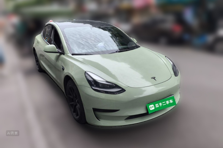 Tesla Model 3 2021 car image #4