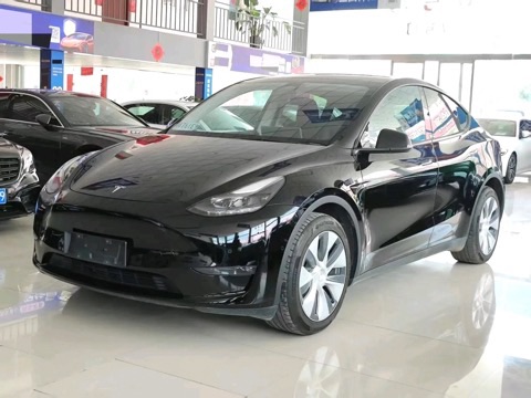 Tesla Model Y 2023 Tesla Model Y 2023 car image