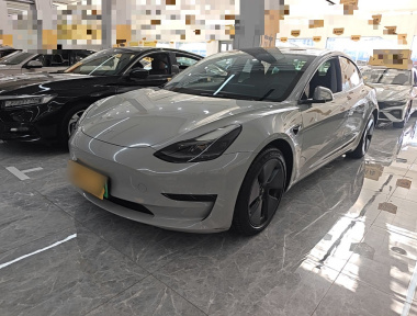 Tesla Model 3 2021 Tesla Model 3 2021 car image