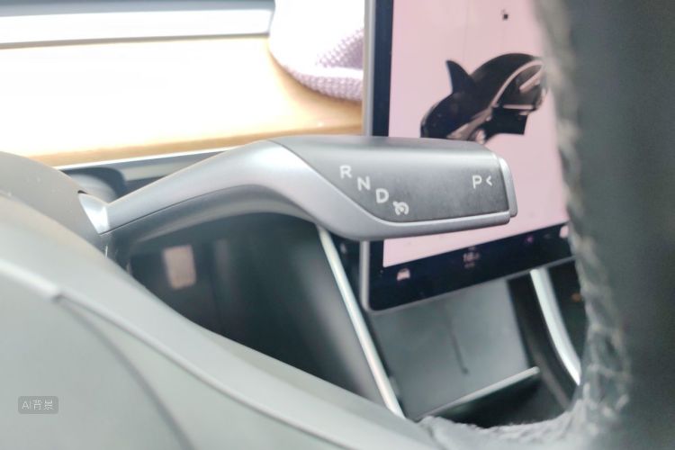Tesla Model 3 2020 car image #16