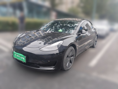 Tesla Model 3 2021 Tesla Model 3 2021 car image