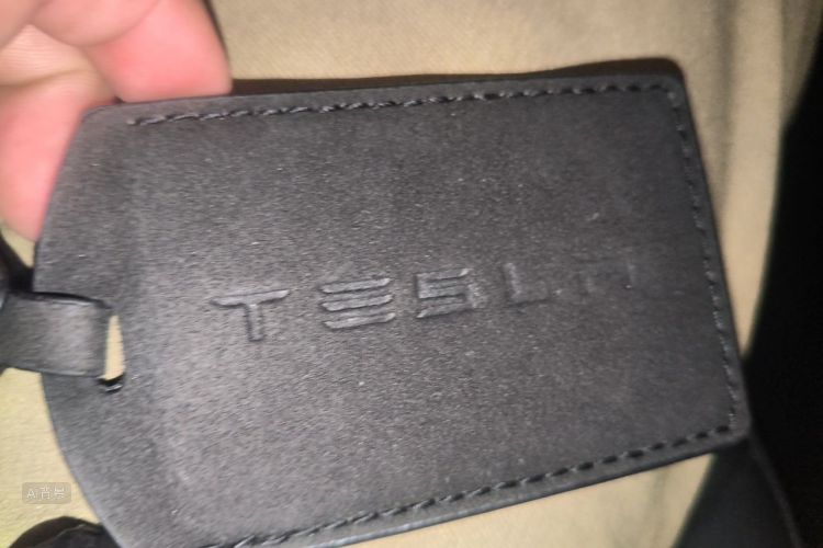 Tesla Model 3 2021 car image #10