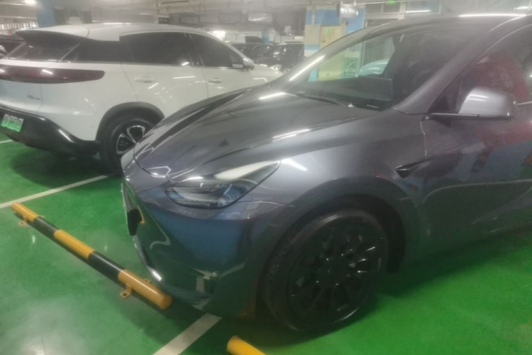 Tesla Model Y 2021 #2 Tesla Model Y 2021 car image #2