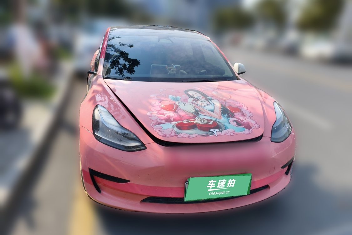 Tesla Model 3 2023 car image #5