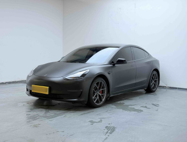 Tesla Model 3 2023 Tesla Model 3 2023 car image