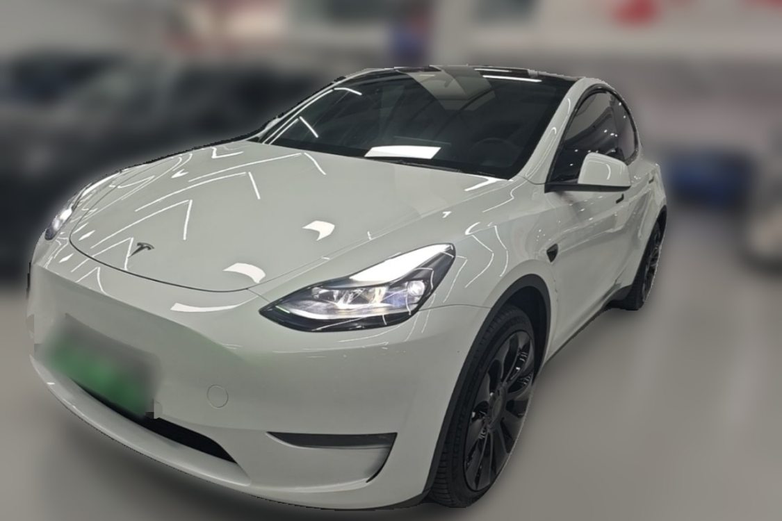 Tesla Model Y 2024 car image 