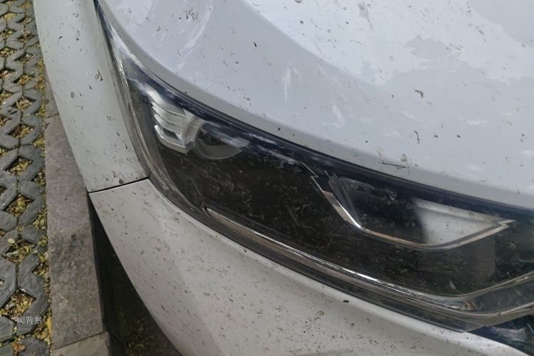 Honda CR-V 2019 car image #8
