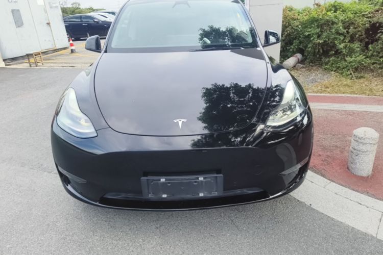 Tesla Model Y 2021 car image #3