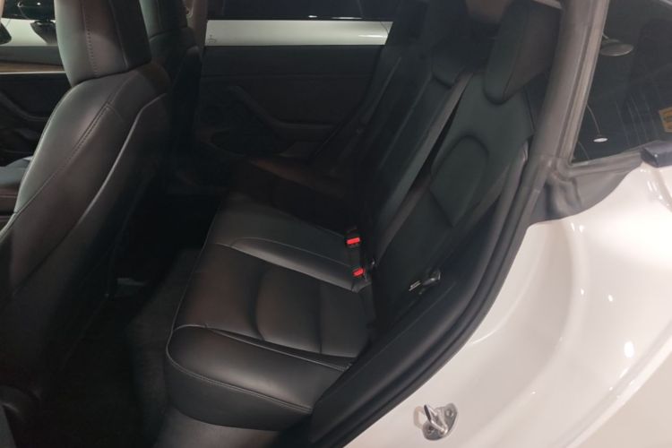 Tesla Model 3 2021 #13 Tesla Model 3 2021 car image #13