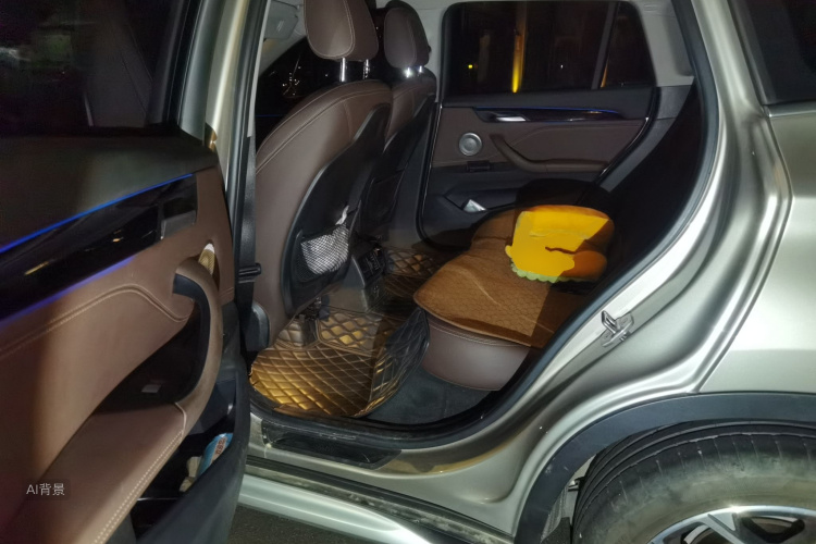 BMW X1 2021 car image #19