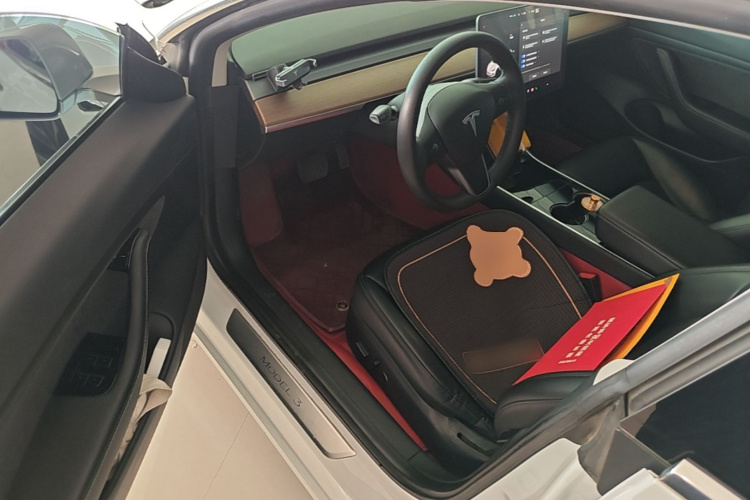 Tesla Model 3 2020 immagine di auto #12