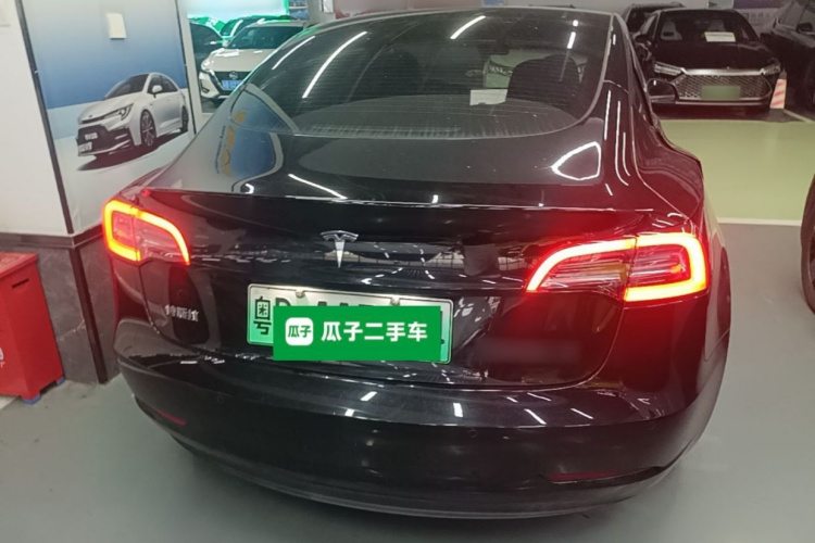 Tesla Model 3 2021 #6 Tesla Model 3 2021 car image #6