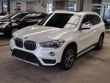 BMW X1 2019 car image 