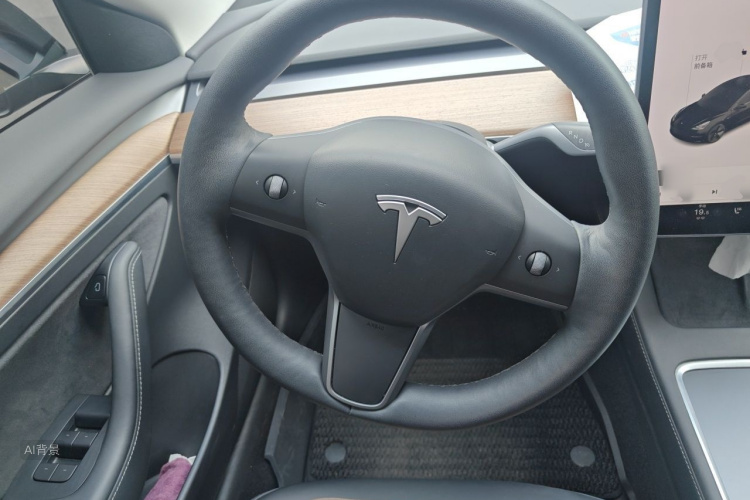 Tesla Model 3 2021 immagine di auto #12