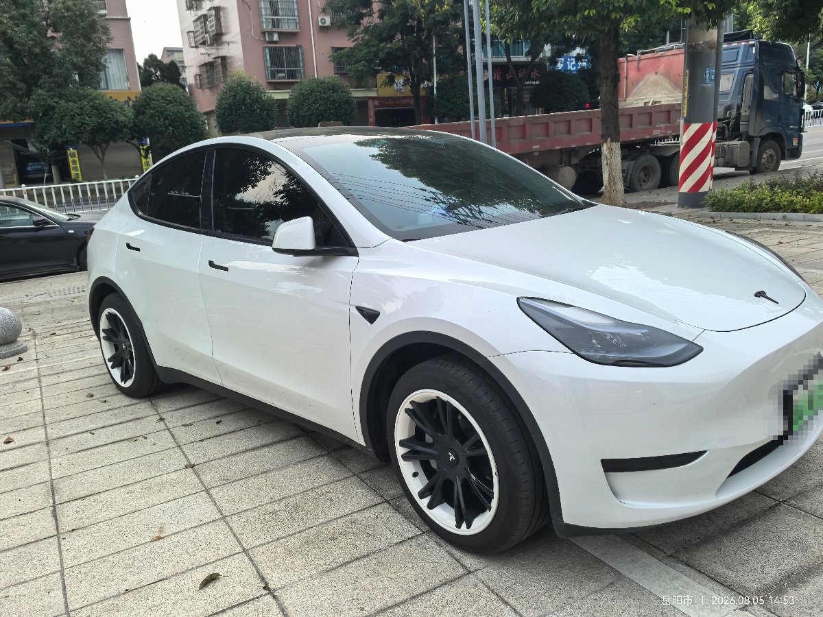 Tesla Model Y 2024 car image #2
