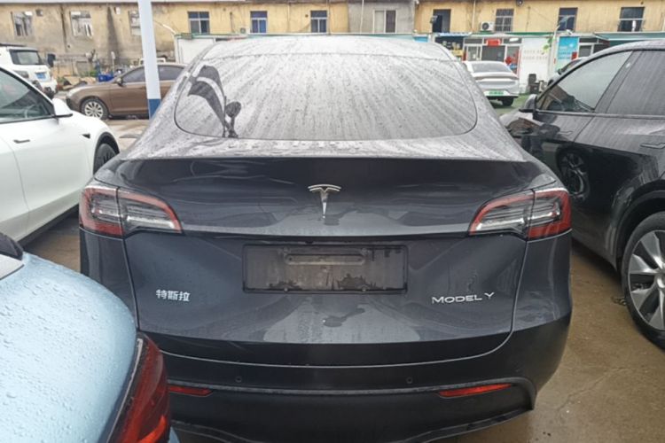 Tesla Model Y 2021 #6 Tesla Model Y 2021 car image #6