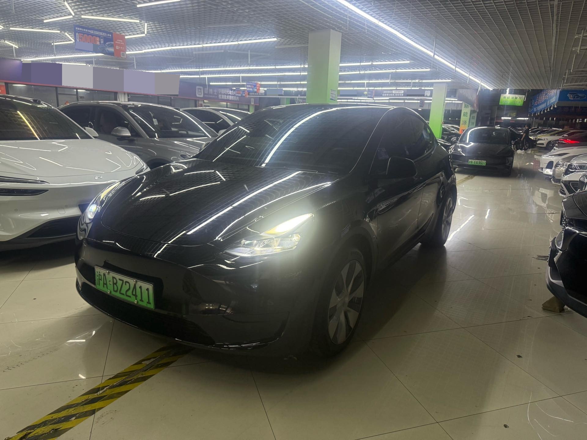 Tesla Model Y 2023 Tesla Model Y 2023 car image