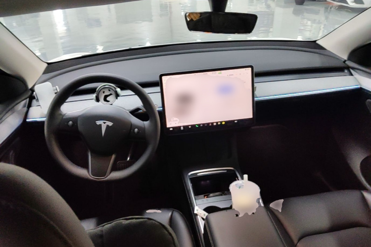 Tesla Model Y 2024 car image #10