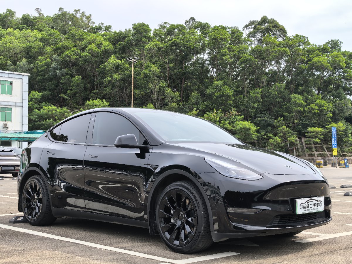 Tesla Model Y 2021 car image #3