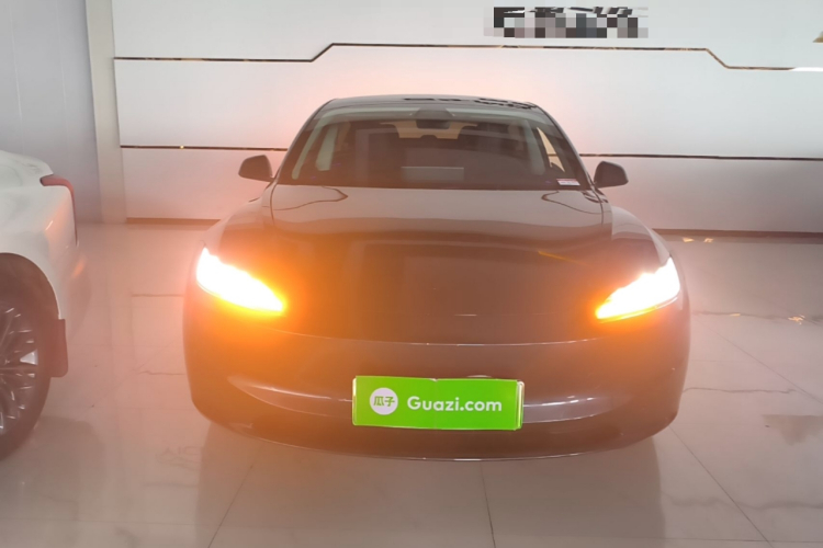 Tesla Model 3 2024 #3 Tesla Model 3 2024 car image #3