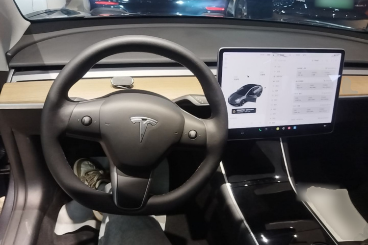 Tesla Model 3 2020 #10 Tesla Model 3 2020 car image #10