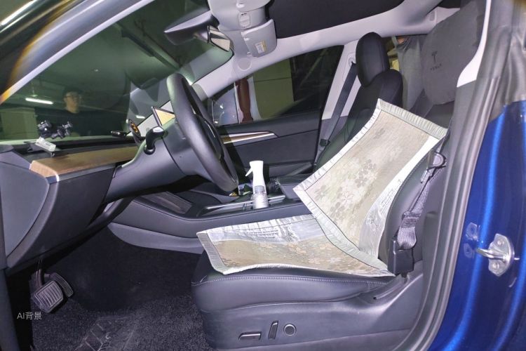 Tesla Model 3 2021 immagine di auto #17