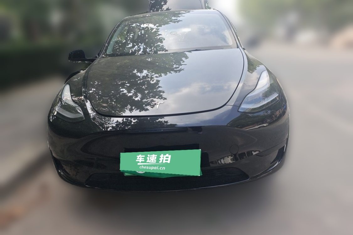 Tesla Model Y 2024 #5 Tesla Model Y 2024 صورة سيارة #5