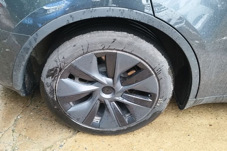 Tesla Model Y 2024 car image #10