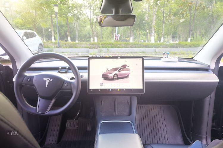 Tesla Model Y 2022 car image #11
