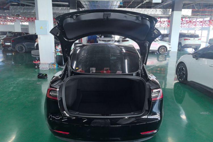 Tesla Model 3 2023 imagem de carro #19