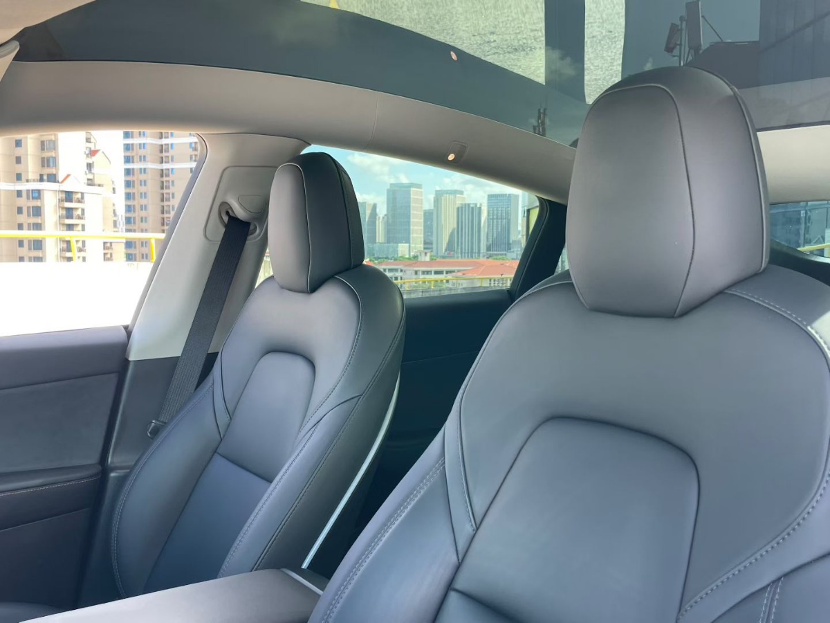 Tesla Model Y 2021 car image #4
