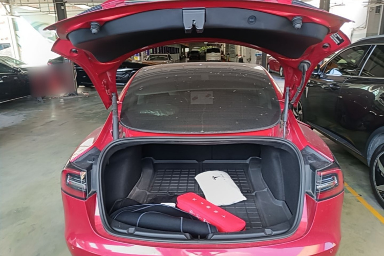 Tesla Model 3 2021 car image #19